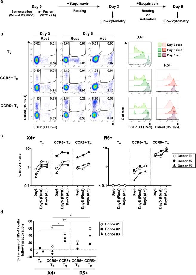 https://cdn.ncbi.nlm.nih.gov/pmc/blobs/ae01/6489248/7a979f978b31/13104_2019_4281_Fig2_HTML.jpg