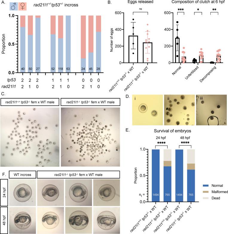 https://cdn.ncbi.nlm.nih.gov/pmc/blobs/ae01/8291703/14e06d6143e4/pgen.1009127.g004.jpg