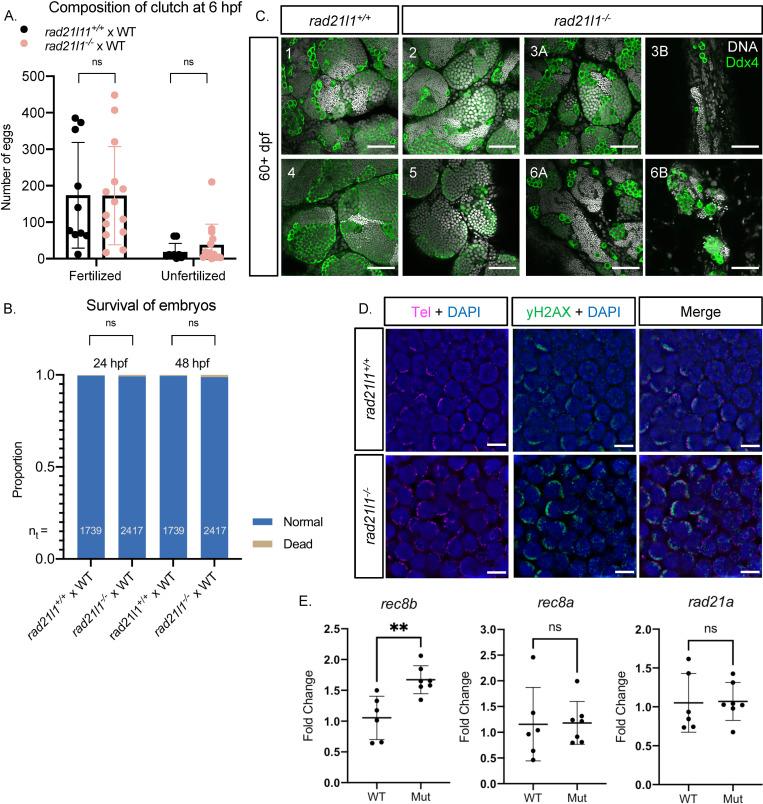 https://cdn.ncbi.nlm.nih.gov/pmc/blobs/ae01/8291703/536366e79d90/pgen.1009127.g003.jpg