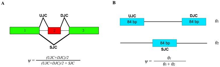 https://cdn.ncbi.nlm.nih.gov/pmc/blobs/ae02/3832546/3606e069d14e/pone.0079448.g002.jpg