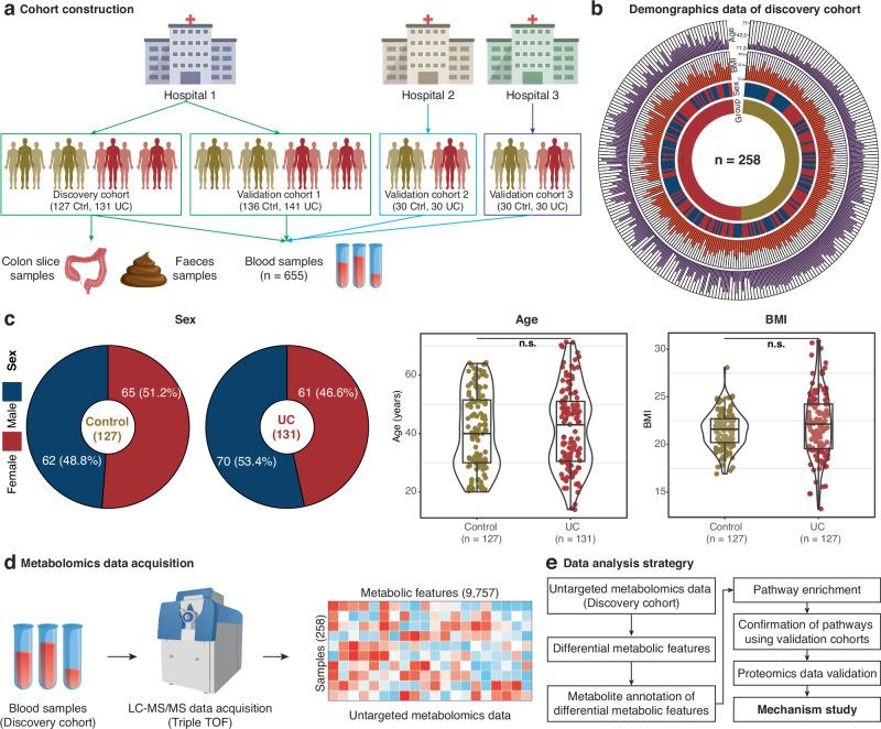 https://cdn.ncbi.nlm.nih.gov/pmc/blobs/ae03/12311138/8460be2368b5/41467_2025_62217_Fig1_HTML.jpg