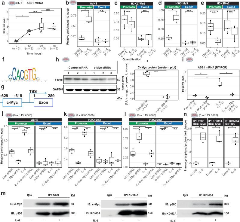https://cdn.ncbi.nlm.nih.gov/pmc/blobs/ae03/12311138/959b57d2b325/41467_2025_62217_Fig6_HTML.jpg