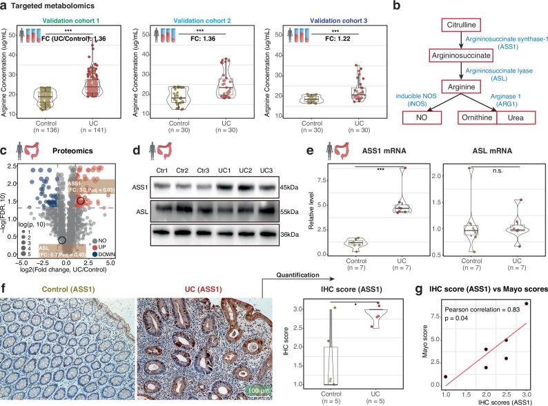 https://cdn.ncbi.nlm.nih.gov/pmc/blobs/ae03/12311138/9fa989794c5f/41467_2025_62217_Fig3_HTML.jpg