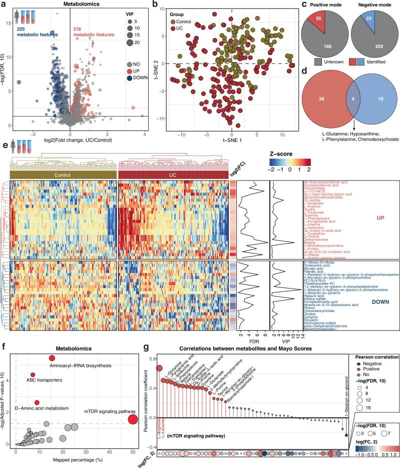 https://cdn.ncbi.nlm.nih.gov/pmc/blobs/ae03/12311138/b53e26c267ef/41467_2025_62217_Fig2_HTML.jpg