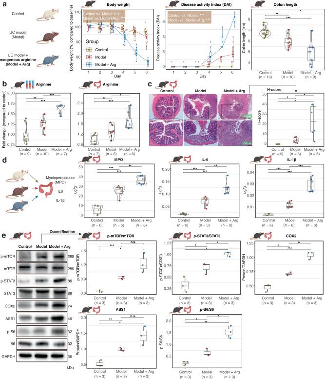 https://cdn.ncbi.nlm.nih.gov/pmc/blobs/ae03/12311138/e38171009fab/41467_2025_62217_Fig4_HTML.jpg