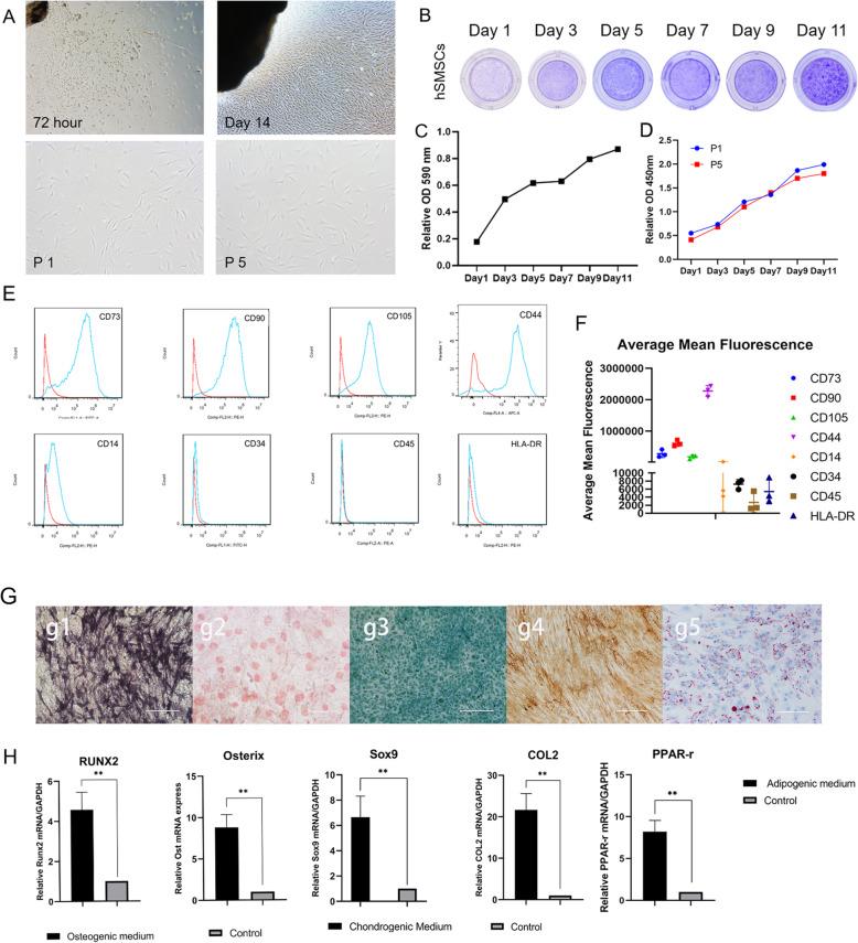 https://cdn.ncbi.nlm.nih.gov/pmc/blobs/ae03/7885459/3c3bc46422c4/13287_2021_2202_Fig1_HTML.jpg