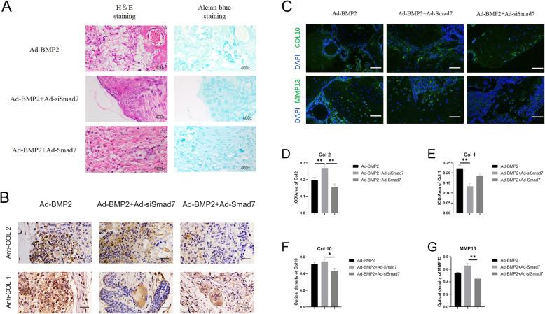 https://cdn.ncbi.nlm.nih.gov/pmc/blobs/ae03/7885459/5fbbbc485160/13287_2021_2202_Fig6_HTML.jpg