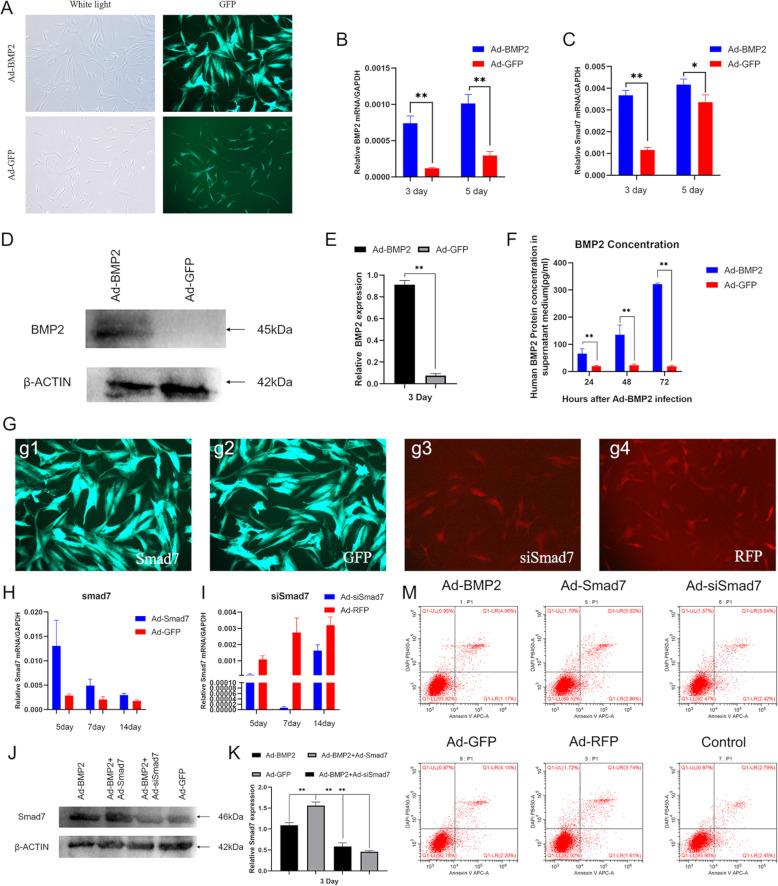 https://cdn.ncbi.nlm.nih.gov/pmc/blobs/ae03/7885459/ce65575b2472/13287_2021_2202_Fig2_HTML.jpg