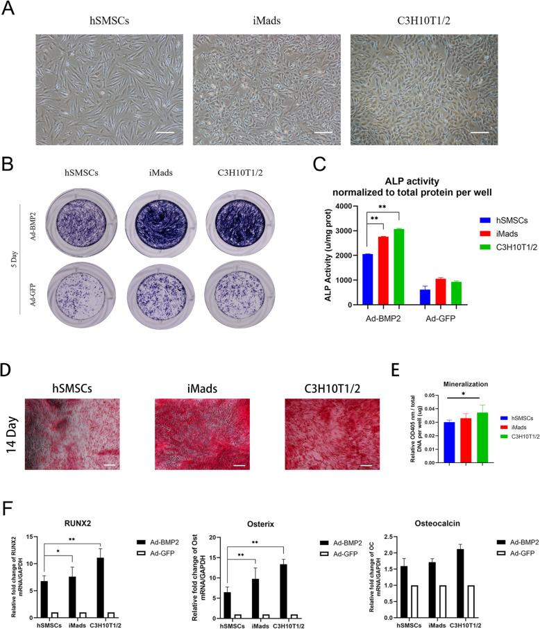 https://cdn.ncbi.nlm.nih.gov/pmc/blobs/ae03/7885459/d629bde07df6/13287_2021_2202_Fig3_HTML.jpg