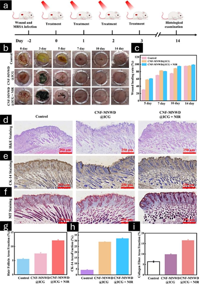 https://cdn.ncbi.nlm.nih.gov/pmc/blobs/ae09/11986729/bd01a31a5d3f/lg4c00092_0015.jpg