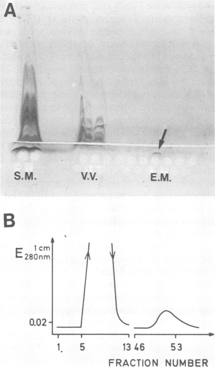 https://cdn.ncbi.nlm.nih.gov/pmc/blobs/ae09/347566/4c98c3565924/iai00149-0137-a.jpg
