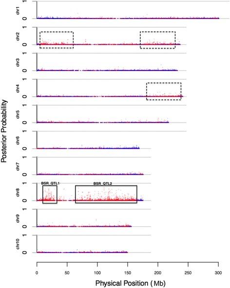 https://cdn.ncbi.nlm.nih.gov/pmc/blobs/ae09/5109822/dc50f63cb26e/12864_2016_3240_Fig3_HTML.jpg