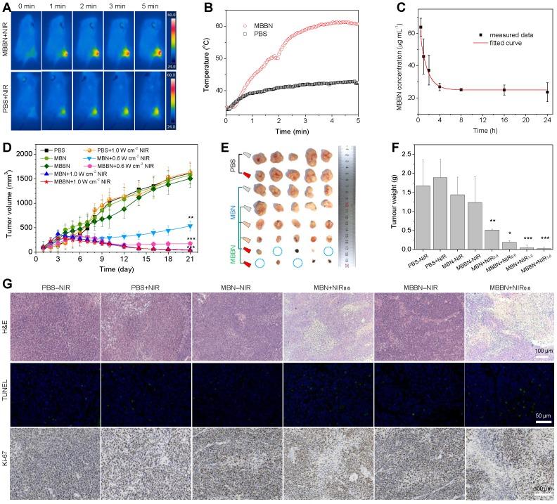 https://cdn.ncbi.nlm.nih.gov/pmc/blobs/ae09/6993225/3799f2930a66/thnov10p1861g006.jpg