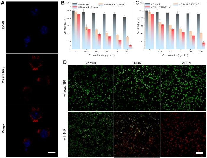 https://cdn.ncbi.nlm.nih.gov/pmc/blobs/ae09/6993225/4fe758b97736/thnov10p1861g004.jpg
