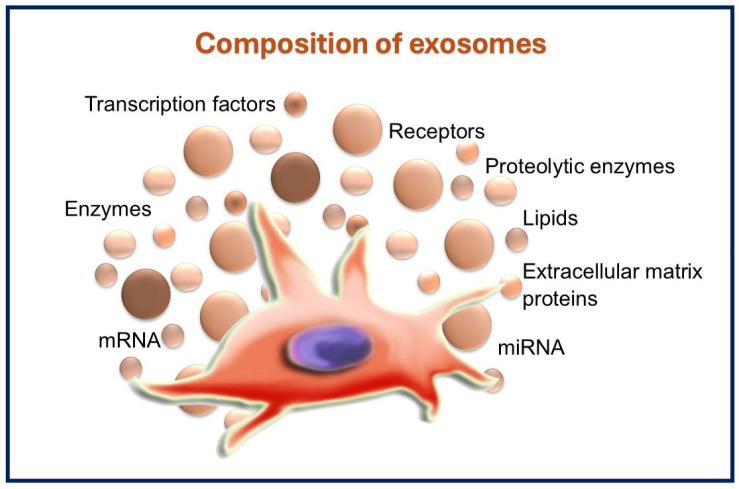 https://cdn.ncbi.nlm.nih.gov/pmc/blobs/ae0b/11941486/7d137d3a5492/dentistry-13-00106-g003.jpg