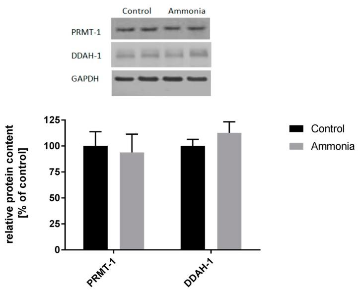 https://cdn.ncbi.nlm.nih.gov/pmc/blobs/ae0c/5713277/f627a7c0915c/ijms-18-02308-g003.jpg