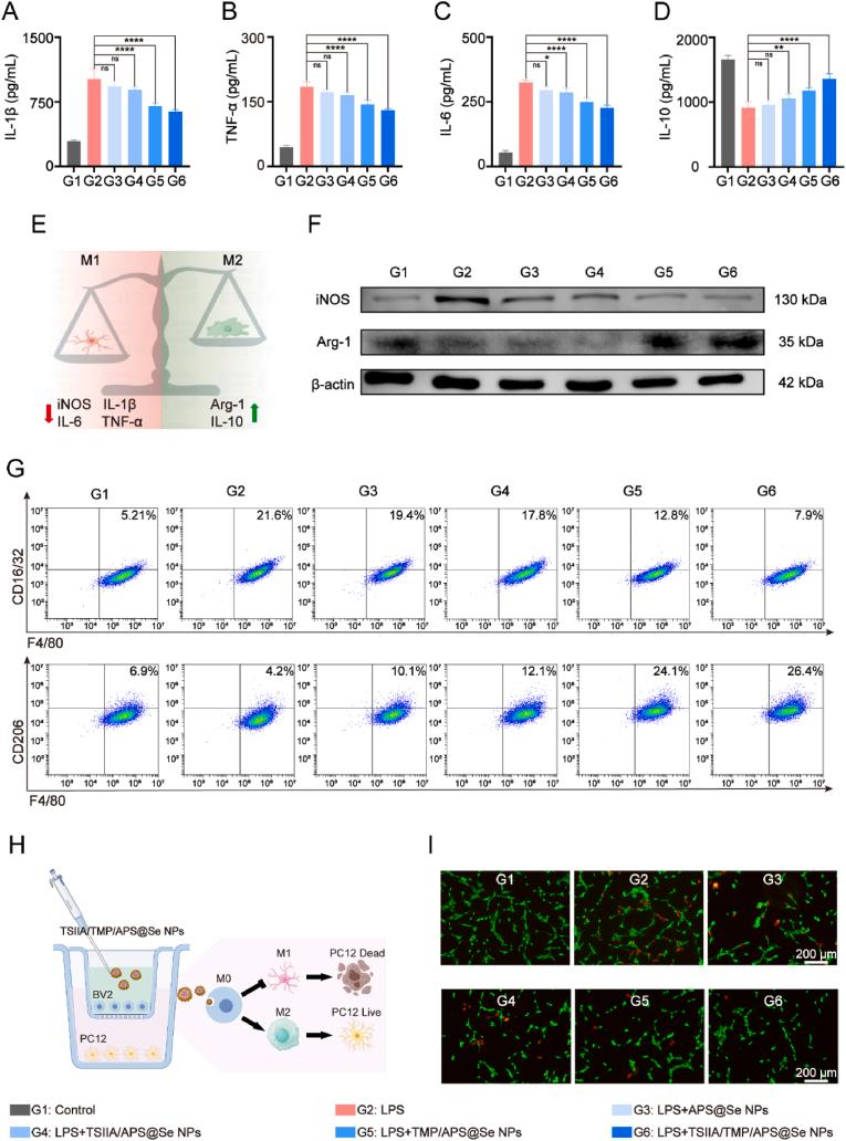 https://cdn.ncbi.nlm.nih.gov/pmc/blobs/ae12/12017924/b21e6d0e014c/gr5.jpg