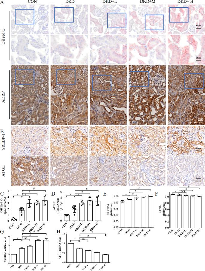 https://cdn.ncbi.nlm.nih.gov/pmc/blobs/ae13/10476618/fde8f0e7d772/peerj-11-15856-g002.jpg