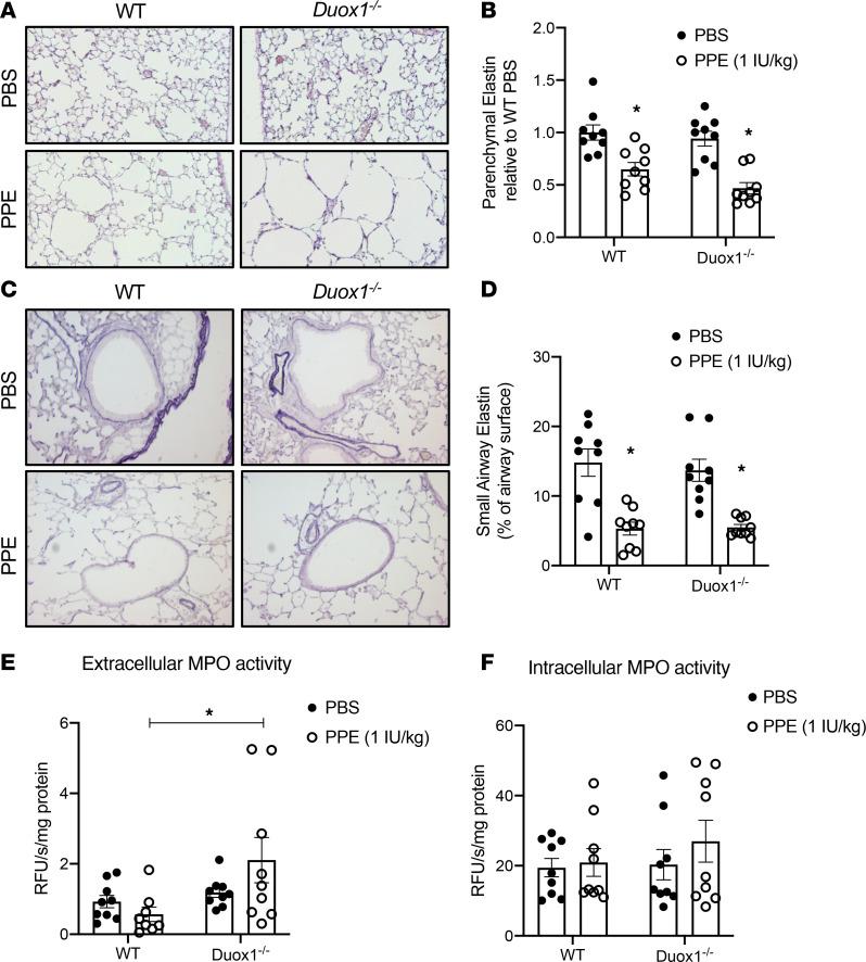 https://cdn.ncbi.nlm.nih.gov/pmc/blobs/ae16/7934842/6b1ef101e584/jciinsight-6-142189-g006.jpg