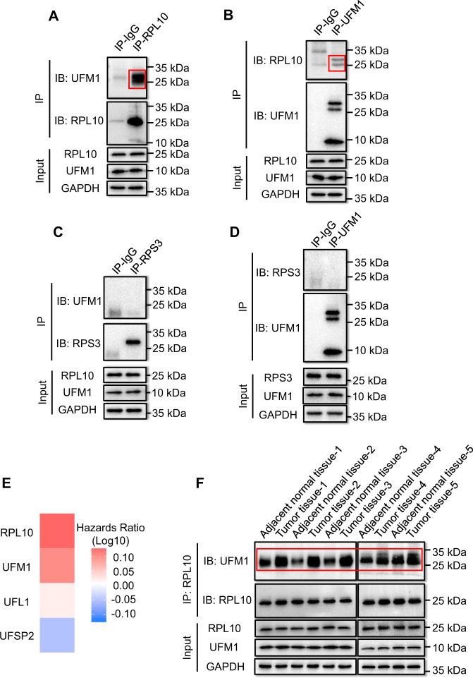 https://cdn.ncbi.nlm.nih.gov/pmc/blobs/ae18/10244432/85f4aea49c15/41419_2023_5877_Fig1_HTML.jpg