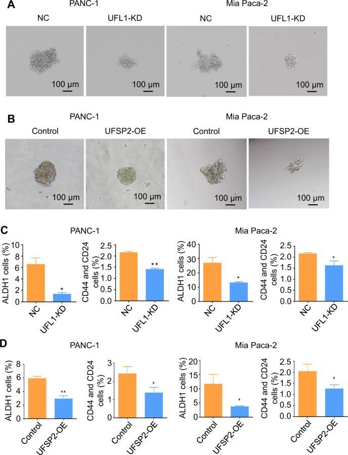 https://cdn.ncbi.nlm.nih.gov/pmc/blobs/ae18/10244432/fe6d6d841e69/41419_2023_5877_Fig3_HTML.jpg