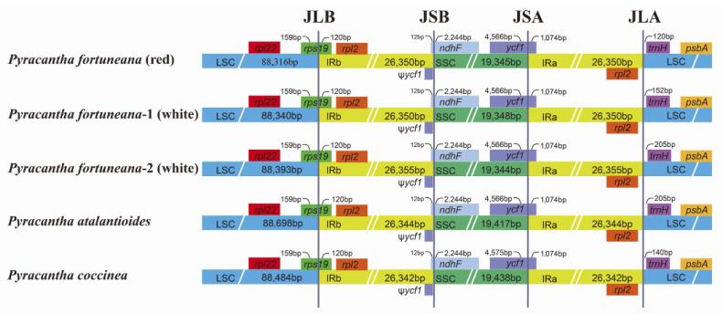 https://cdn.ncbi.nlm.nih.gov/pmc/blobs/ae18/9778009/110ce796b92d/genes-13-02404-g003.jpg