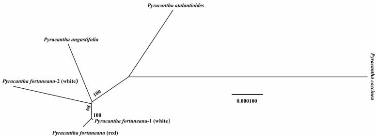 https://cdn.ncbi.nlm.nih.gov/pmc/blobs/ae18/9778009/5da099f09c27/genes-13-02404-g008.jpg