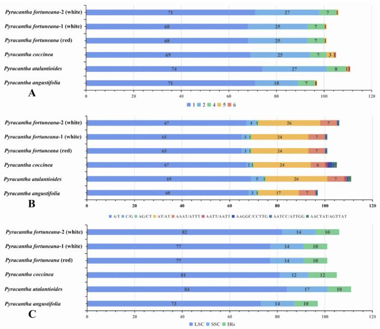 https://cdn.ncbi.nlm.nih.gov/pmc/blobs/ae18/9778009/6c00e889dc3c/genes-13-02404-g006.jpg