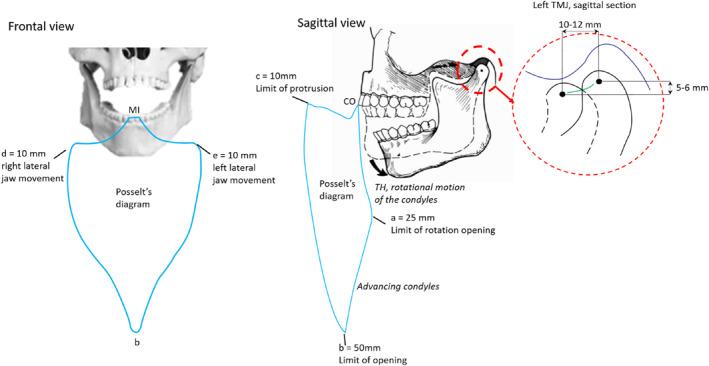 https://cdn.ncbi.nlm.nih.gov/pmc/blobs/ae19/11694338/7bb36c1d0874/RCS-21-e70039-g008.jpg