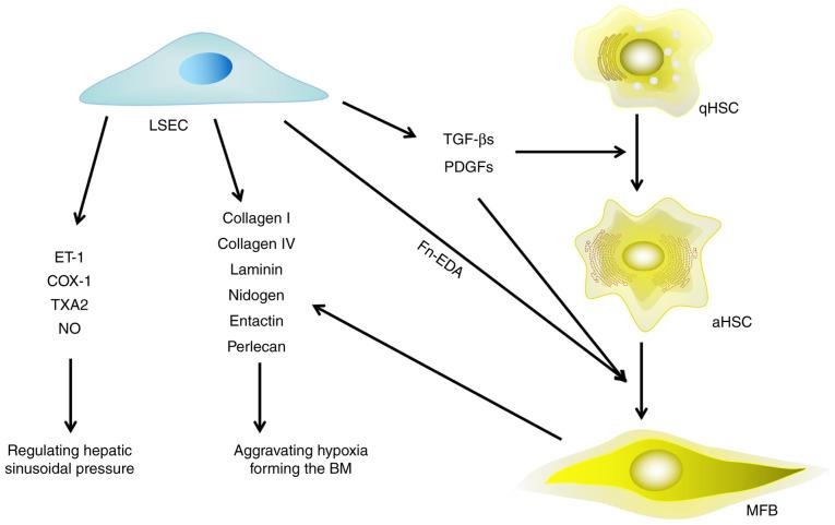 https://cdn.ncbi.nlm.nih.gov/pmc/blobs/ae19/7986015/dfdbcbada1ce/mmr-23-05-12003-g01.jpg