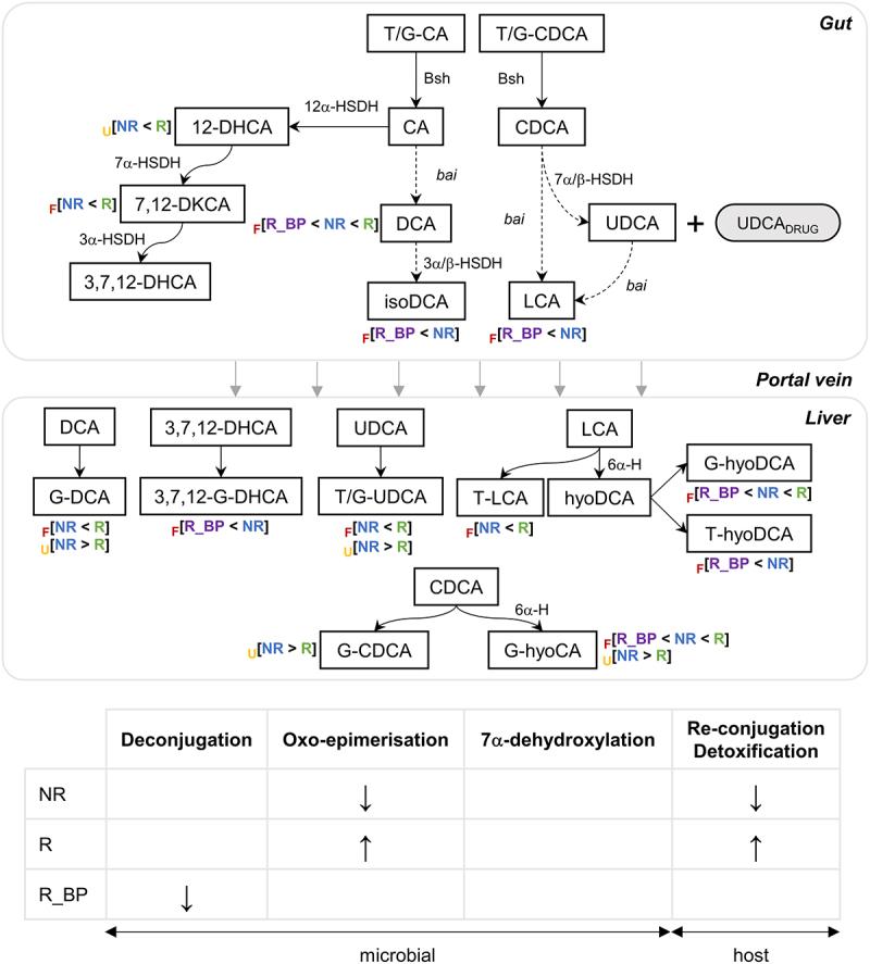 https://cdn.ncbi.nlm.nih.gov/pmc/blobs/ae1f/10190197/e0655795ba60/KGMI_A_2208501_F0005_OC.jpg