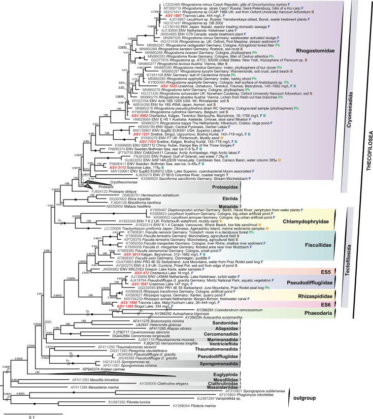 https://cdn.ncbi.nlm.nih.gov/pmc/blobs/ae1f/12175505/6c06bdfb2e97/aem.00330-25.f007.jpg