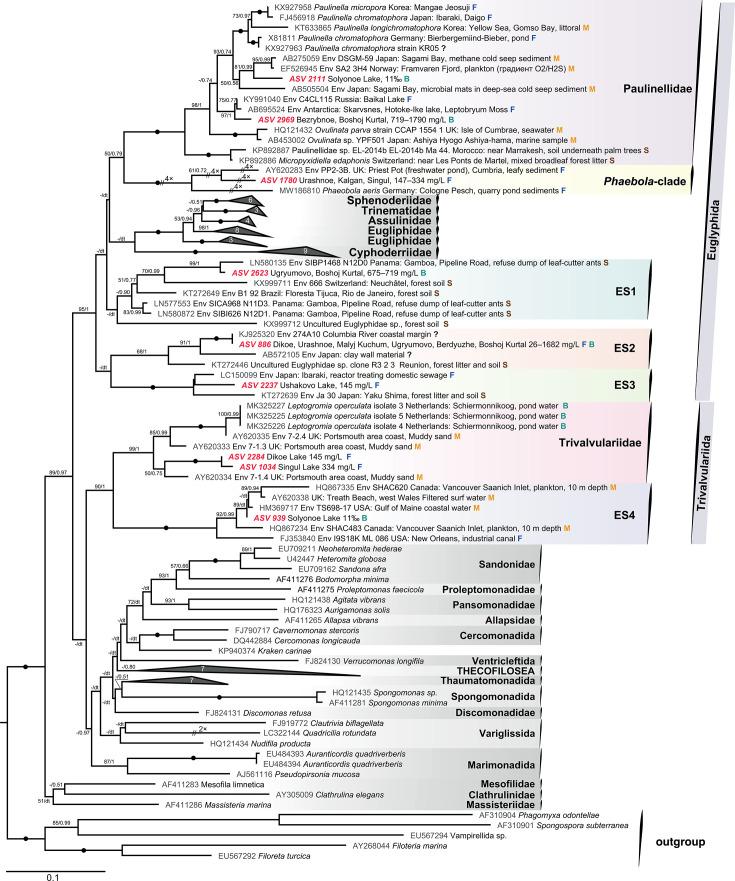 https://cdn.ncbi.nlm.nih.gov/pmc/blobs/ae1f/12175505/840c2c47122d/aem.00330-25.f006.jpg