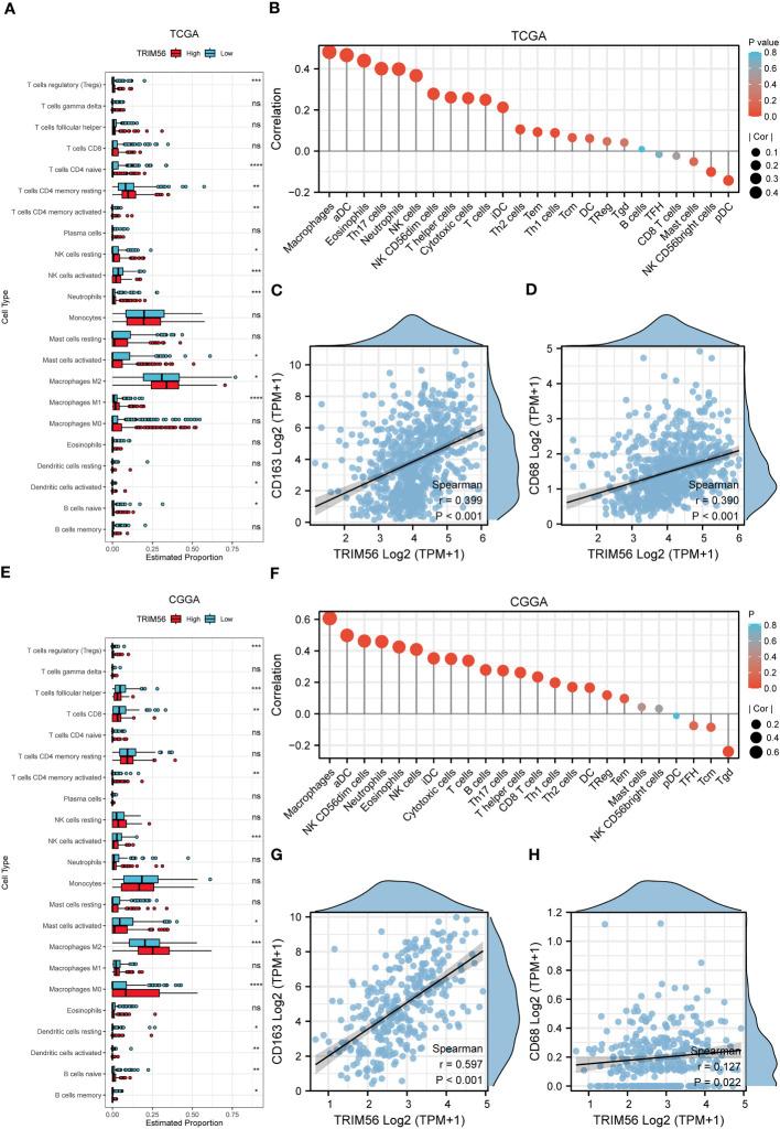 https://cdn.ncbi.nlm.nih.gov/pmc/blobs/ae21/10859405/99296cdb3555/fimmu-15-1327898-g004.jpg