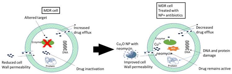 https://cdn.ncbi.nlm.nih.gov/pmc/blobs/ae25/11173789/5c0768776ebb/molecules-29-02584-g004.jpg