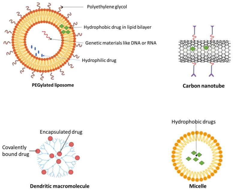 https://cdn.ncbi.nlm.nih.gov/pmc/blobs/ae25/11173789/e5df138886e2/molecules-29-02584-g003.jpg