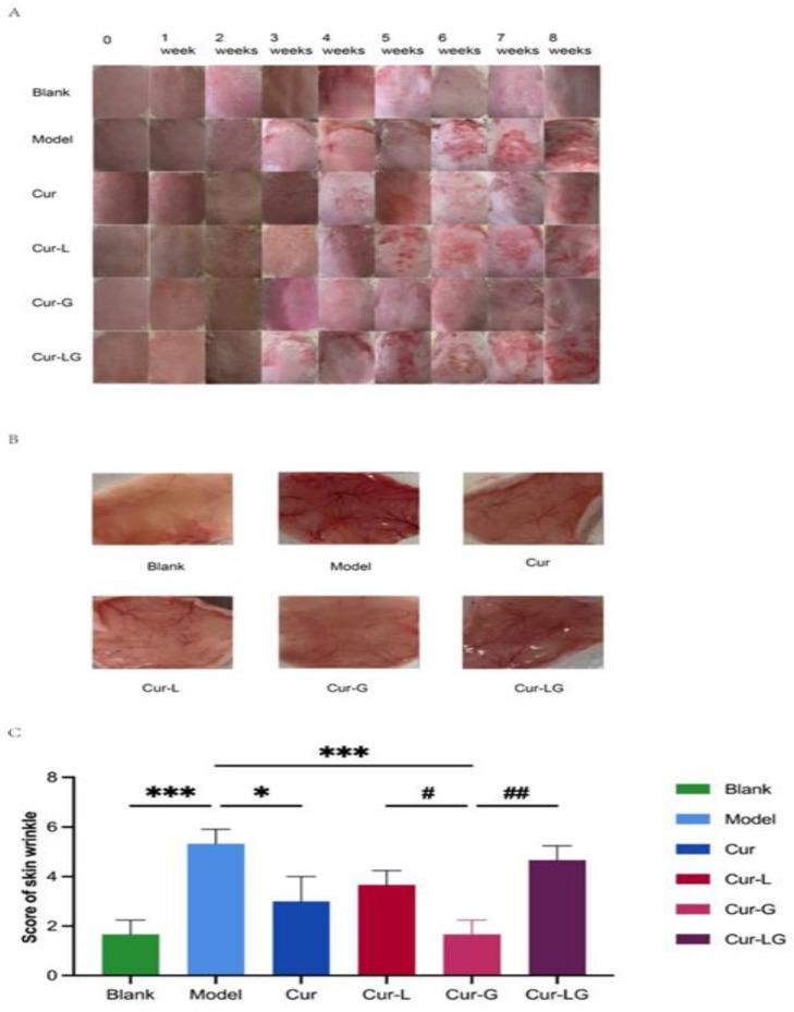 https://cdn.ncbi.nlm.nih.gov/pmc/blobs/ae25/11431562/ad2ec2ae2526/gels-10-00596-g003.jpg
