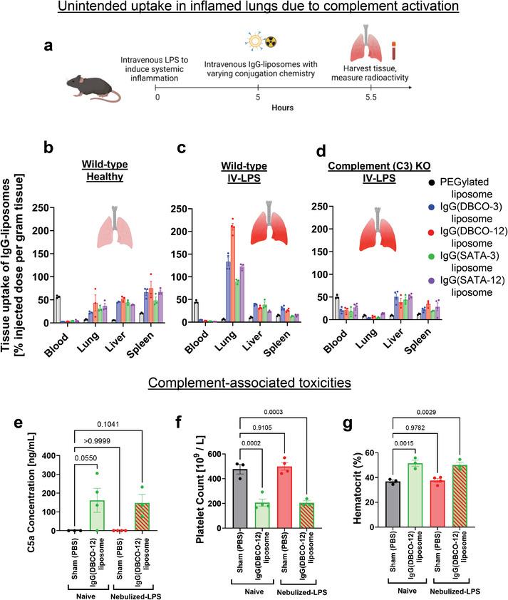 https://cdn.ncbi.nlm.nih.gov/pmc/blobs/ae26/11795710/1678db349026/ADMA-37-2409945-g006.jpg