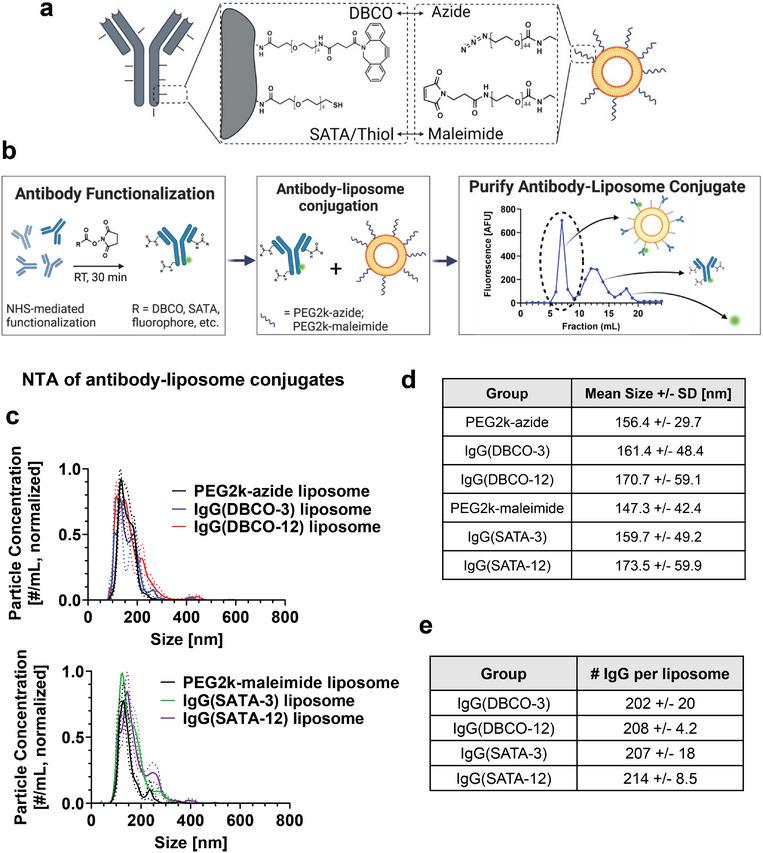 https://cdn.ncbi.nlm.nih.gov/pmc/blobs/ae26/11795710/cb87386dca10/ADMA-37-2409945-g004.jpg