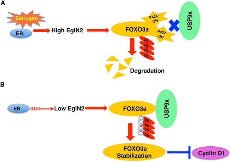 https://cdn.ncbi.nlm.nih.gov/pmc/blobs/ae26/4083087/812ac9bf2eff/1429fig7.jpg