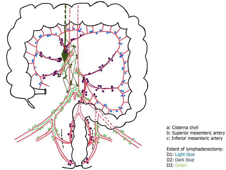 https://cdn.ncbi.nlm.nih.gov/pmc/blobs/ae29/8223702/644a0f8c741a/WJGS-13-585-g002.jpg