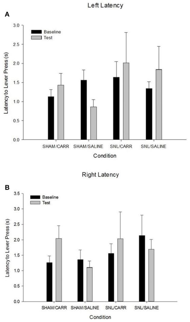 https://cdn.ncbi.nlm.nih.gov/pmc/blobs/ae29/8915719/923060131876/fpain-02-793958-g0004.jpg