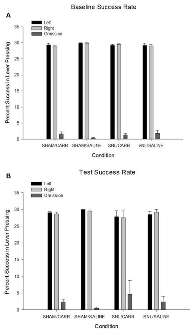 https://cdn.ncbi.nlm.nih.gov/pmc/blobs/ae29/8915719/d33a023ea163/fpain-02-793958-g0003.jpg