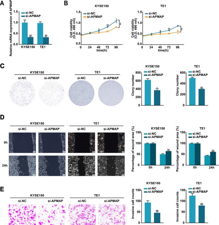 https://cdn.ncbi.nlm.nih.gov/pmc/blobs/ae2a/12351132/cd7695c584f7/fimmu-16-1616201-g006.jpg