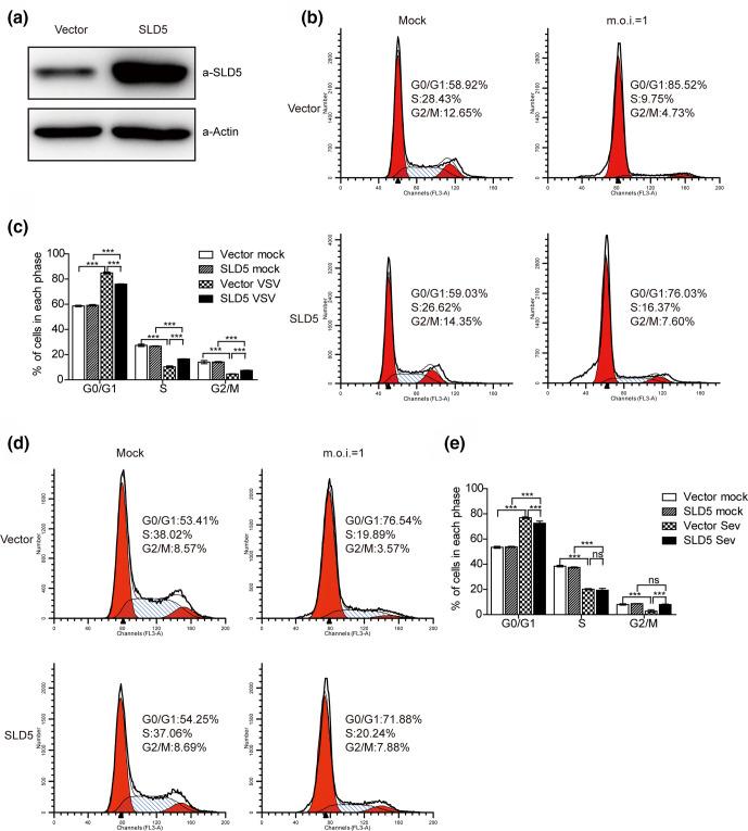 https://cdn.ncbi.nlm.nih.gov/pmc/blobs/ae2a/8744269/02b3a8ba02da/jgv-102-1697-g003.jpg