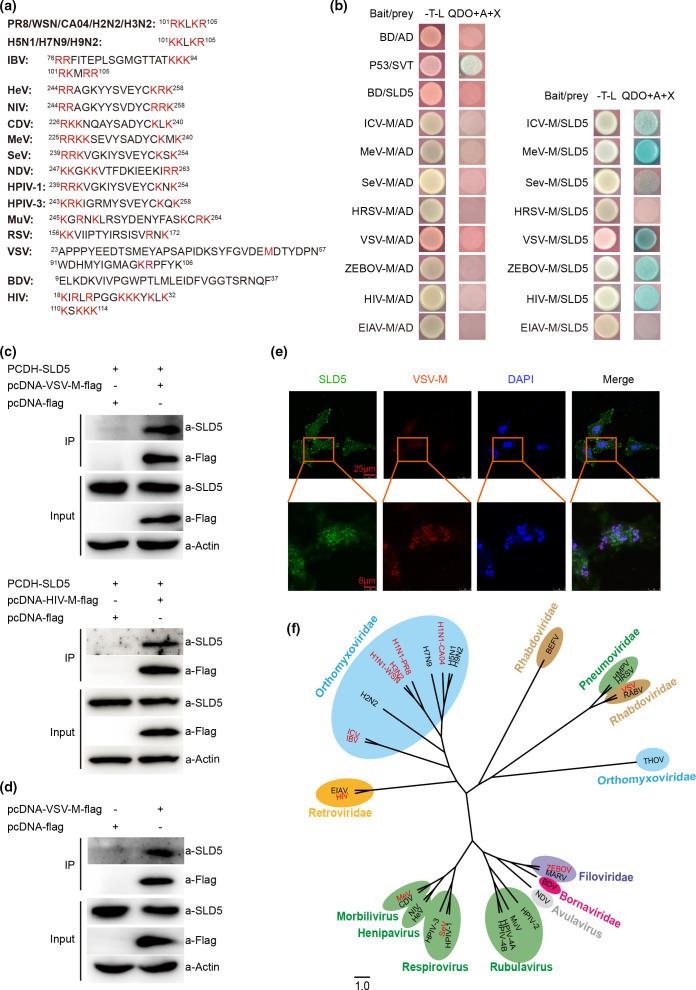 https://cdn.ncbi.nlm.nih.gov/pmc/blobs/ae2a/8744269/4851331bbc83/jgv-102-1697-g001.jpg