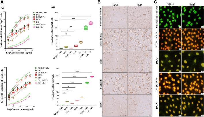 https://cdn.ncbi.nlm.nih.gov/pmc/blobs/ae2c/11284037/004a745bc119/fphar-15-1388038-g002.jpg