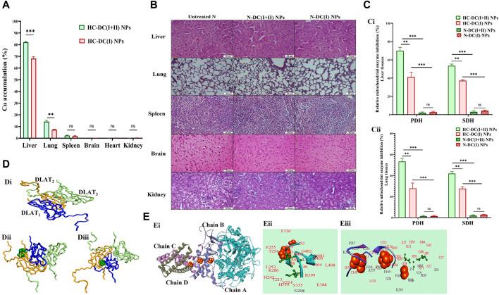 https://cdn.ncbi.nlm.nih.gov/pmc/blobs/ae2c/11284037/44fb8912fa1f/fphar-15-1388038-g007.jpg
