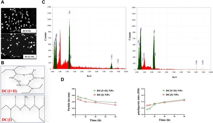 https://cdn.ncbi.nlm.nih.gov/pmc/blobs/ae2c/11284037/4cecc98fcff5/fphar-15-1388038-g001.jpg