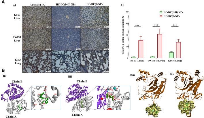 https://cdn.ncbi.nlm.nih.gov/pmc/blobs/ae2c/11284037/5856ba6ee726/fphar-15-1388038-g005.jpg
